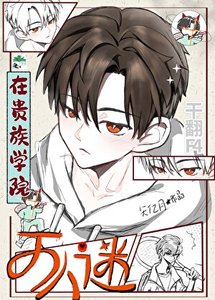 穿书贵族学院干翻F4