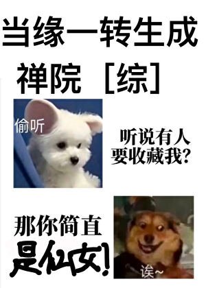 《当缘一转生成禅院》