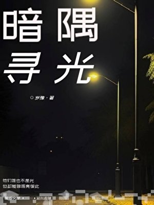 《暗隅寻光》