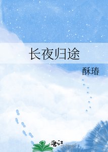 《长夜归途》