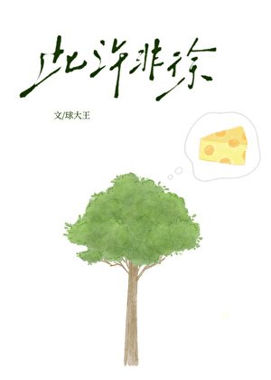 此许非徐