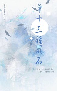 《第十三种岩石》