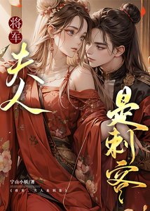 《将军,夫人是刺客》
