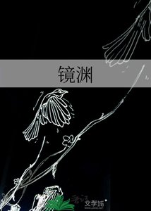 《镜渊》