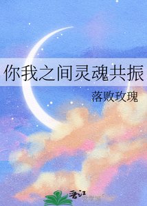 《你我之间灵魂共振》