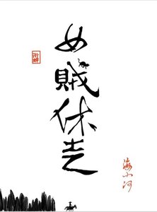 《女贼休走!》