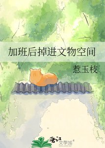 《加班后掉进文物空间》