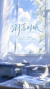 《羽落时眠》