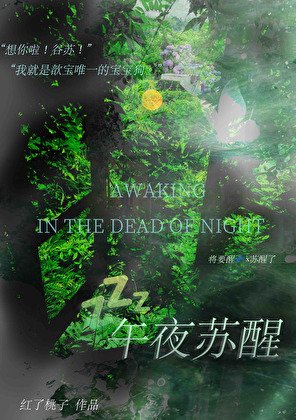 《午夜苏醒》