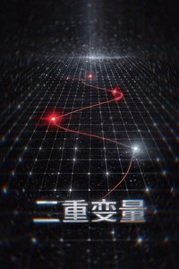 《二重变量》