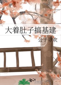 《大着肚子搞基建》