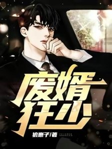 《废婿狂少》