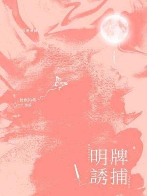 《明牌诱捕》