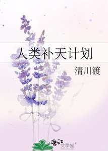《人类补天计划》