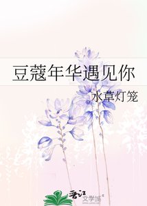 《豆蔻年华遇见你》