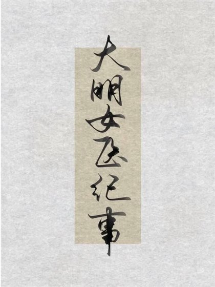《大明女医纪事》