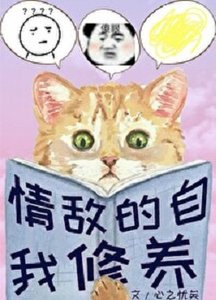 《情敌的自我修养》