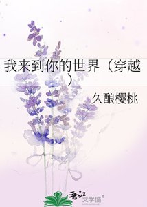 《我来到你的世界(穿越)》