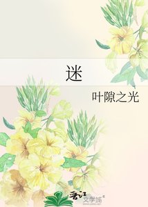 《迷》