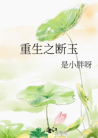《重生之断玉》