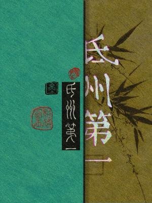 《氐州第一》