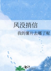 《风没捎信》