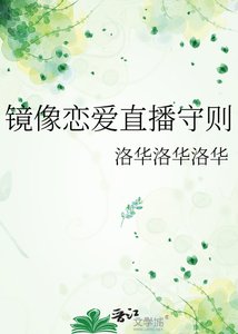 《镜像恋爱直播守则》
