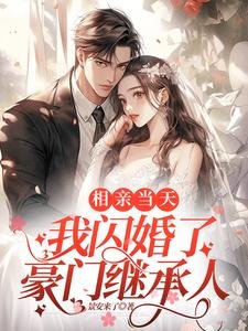 《相亲当天我闪婚了豪门继承人》