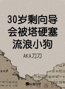 《30岁剩向导会被塔硬塞流浪小狗》