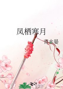 《凤栖寒月》