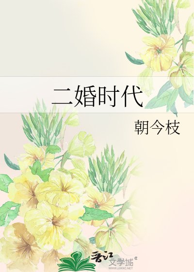 二婚时代