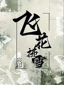 《飞花拂雪》
