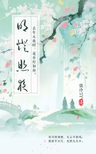 《明灯照夜》