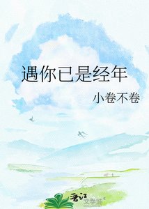 《遇你已是经年》