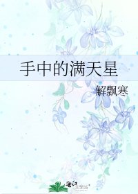 《手中的满天星》
