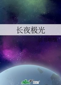 《长夜极光》
