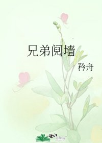 《兄弟阋墙》