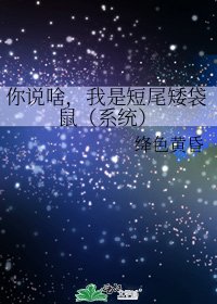 《你说啥,我是短尾矮袋鼠(系统)》