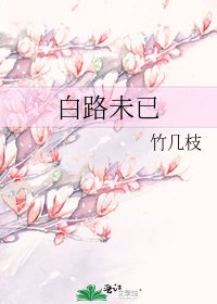 《白路未已》