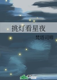 《挑灯看星夜》