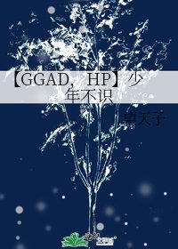 《【GGAD,HP】少年不识》