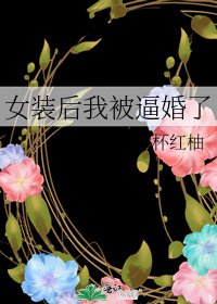 《女装后我被逼婚了》