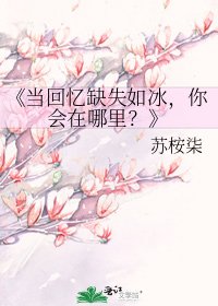 《当回忆缺失如冰,你会在哪里?》