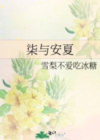 柒与安夏