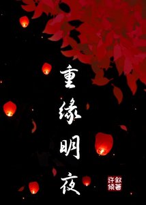 《重缘明夜》