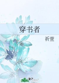 《穿书者》