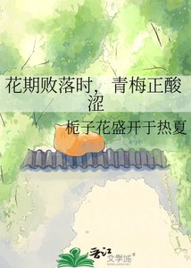 《花期败落时,青梅正酸涩》