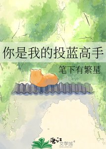 《你是我的投蓝高手》