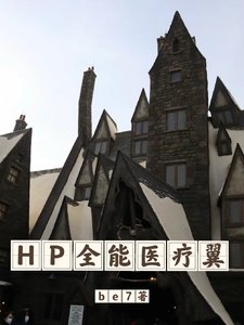 《(HP同人)HP:最强医疗翼/HP全能医疗翼》
