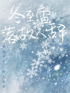 《冬至雪落故人辞》